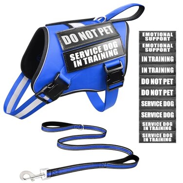 MOOGROU Service Dog Vest Harness and Leash Set10 PatchesNo PullEasy Walk Reflective Dog Harness with Soft Padded Handle for TrainingEverydayFit SmallMediumLargeExtraLarge Dogs Blue S