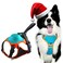 TroisAmis Dog Harness with Retractable Leash 5122in1 Large Medium Dog Harness Vest with Builtin AutoStop Function Leash 370 LB of Pull Adjustable Dog Walking HarnessM Hand Free Dog Leash Harness Set