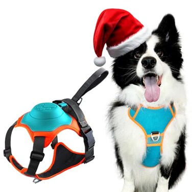 TroisAmis Dog Harness with Retractable Leash 5122in1 Large Medium Dog Harness Vest with Builtin AutoStop Function Leash 370 LB of Pull Adjustable Dog Walking HarnessM Hand Free Dog Leash Harness Set