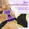 rabbitgoo Dog Harness No Pull with 2 Leash Clips Adjustable Soft Padded Reflective Oxford No Choke Pet Vest with Easy Control Handle for Large Dogs Purple Yellow L