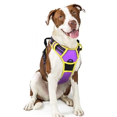 rabbitgoo Dog Harness No Pull with 2 Leash Clips Adjustable Soft Padded Reflective Oxford No Choke Pet Vest with Easy Control Handle for Large Dogs Purple Yellow L