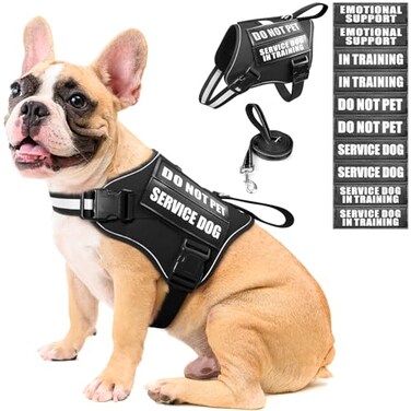 MOOGROU Service Dog Vest Harness and Leash Set10 PatchesNo PullEasy Walk Reflective Dog Harness with Soft Padded Handle for TrainingEverydayFit SmallMediumLargeExtraLarge DogsBlack M
