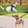 SCENEREAL Small Dog Harness and Leash Collar Set Step in No Pull Soft Mesh Dog Harnesses for Small Medium Sized Dogs Puppy and Cats Outdoor Walking No Chock Reflective Vest Harness Black Plaid S