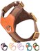 SOLMOONY Brown Dog Harness for Small Dogs No Pull Dog Harness with 2 Leash Clips Small Sized Puppy Harness Brown S