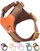 SOLMOONY Brown Dog Harness for Small Dogs No Pull Dog Harness with 2 Leash Clips Small Sized Puppy Harness Brown S