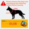TroisAmis Dog Harness with Retractable Leash 5122in1 Large Medium Dog Harness Vest with Builtin AutoStop Function Leash 370 LB of Pull Adjustable Dog Walking HarnessL Hand Free Dog Leash Harness Set