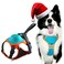 TroisAmis Dog Harness with Retractable Leash 5122in1 Large Medium Dog Harness Vest with Builtin AutoStop Function Leash 370 LB of Pull Adjustable Dog Walking HarnessL Hand Free Dog Leash Harness Set
