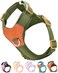 SOLMOONY Green Small Dog Harness for Small Dogs No Pull Dog Harness with 2 Leash Clips Puppy Harness Dog Vest Harness Green S