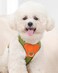 SOLMOONY Green Small Dog Harness for Small Dogs No Pull Dog Harness with 2 Leash Clips Puppy Harness Dog Vest Harness Green S