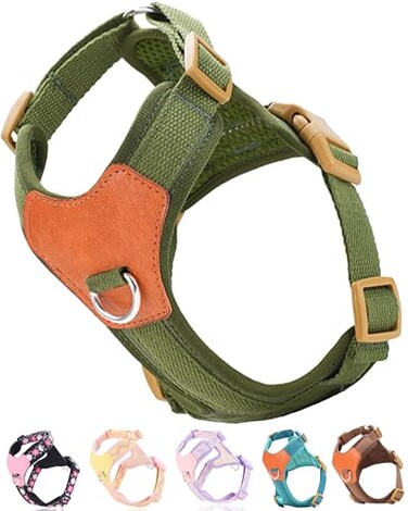 SOLMOONY Green Small Dog Harness for Small Dogs No Pull Dog Harness with 2 Leash Clips Puppy Harness Dog Vest Harness Green S