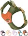 SOLMOONY Green Small Dog Harness for Small Dogs No Pull Dog Harness with 2 Leash Clips Puppy Harness Dog Vest Harness Green S