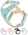 Petank Blue xs Dog Harness for Small Dogs No Pull Dog Harness with 2 Leash ClipsPuppy Harness Adjustable Dog Vest Harness Blue XS