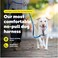 PetSafe Easy Walk Comfort NoPull Dog Harness FullBody Padding Better Walks on the First Use 5 Points of Adjustment MediumLarge Pink