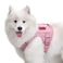 OneTigris Tactical Dog Harness VestNoPull Service Dog Vest with Hook Loop PanelsAdjustable Dog Vest Harness for Walking Hiking TrainingPinkM