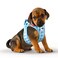 Curli Vest Harness curli Clasp AirMesh SkyBlueCaro 2XS Leash M