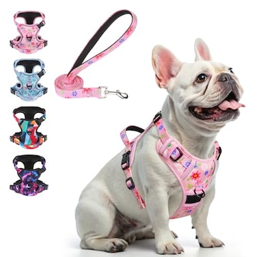 BEAUTYZOO No Pull Dog Harness and Leash Set with 2 Metal Leash Clips OverheadFree 3 Snap Buckles Design Adjustable NoChoke Soft Padded Reflective Oxford Pet Vest for Small Medium Large Dogs Pink