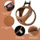 BELLAPAL BELLA PAL Step in Vest Harness for Small and Medium Dogs No Pull Small Dog Harness with Leash Set Comfortable Air Mesh Dog Vest Harness with Reflective Strip Mokka S