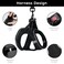 BELLAPAL BELLA PAL Step in Vest Harness for Small and Medium Dogs No Pull Small Dog Harness with Leash Set Comfortable Air Mesh Dog Vest Harness with Reflective Strip Deep Black XXS