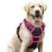 rabbitgoo Dog Harness No Pull with 2 Leash Clips Adjustable Soft Padded Reflective Oxford No Choke Pet Vest with Easy Control Handle for Large Dogs Black Hot Pink L