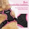 rabbitgoo Dog Harness No Pull with 2 Leash Clips Adjustable Soft Padded Reflective Oxford No Choke Pet Vest with Easy Control Handle for Large Dogs Black Hot Pink L