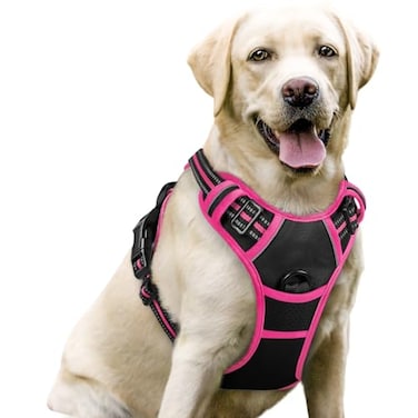 rabbitgoo Dog Harness No Pull with 2 Leash Clips Adjustable Soft Padded Reflective Oxford No Choke Pet Vest with Easy Control Handle for Large Dogs Black Hot Pink L