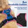 rabbitgoo Dog Harness No Pull with 2 Leash Clips Adjustable Soft Padded Reflective Oxford No Choke Pet Vest with Easy Control Handle for Large Dogs Blue Hot Pink S