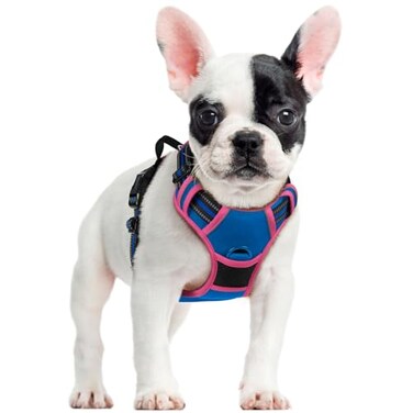 rabbitgoo Dog Harness No Pull with 2 Leash Clips Adjustable Soft Padded Reflective Oxford No Choke Pet Vest with Easy Control Handle for Large Dogs Blue Hot Pink S