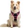 rabbitgoo Dog Harness No Pull with 2 Leash Clips Adjustable Soft Padded Reflective Oxford No Choke Pet Vest with Easy Control Handle for Large Dogs Black Hot Pink M