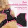 rabbitgoo Dog Harness No Pull with 2 Leash Clips Adjustable Soft Padded Reflective Oxford No Choke Pet Vest with Easy Control Handle for Large Dogs Black Hot Pink M