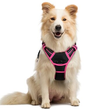 rabbitgoo Dog Harness No Pull with 2 Leash Clips Adjustable Soft Padded Reflective Oxford No Choke Pet Vest with Easy Control Handle for Large Dogs Black Hot Pink M