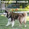 RunFido Dog Harness for Large Dogs Heavy Duty No Pull Tactical Dog Harness with Molle System Easy On and Off Service Dog Vest Breathable Padded Adjustable Reflective Pet Vest for Walking Hiking Traini