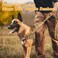 Forestpaw No Pull Dog Harness with Large HandleSlip on Reflective Vest with Quick Release BuckleComfortable Flannel Lining for Medium Large Dogs Walking Training Includes 3 PatchesBrown M