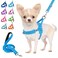 Lukovee No Pull Dog Harness and Leash Set Soft Padded Small Dog Harness Neck Chest Adjustable Reflective Vest Puppy Harness with 4ft Lightweight AntiTwist Dog Leash for Small Dogs LBL S