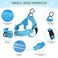 Lukovee No Pull Dog Harness and Leash Set Soft Padded Small Dog Harness Neck Chest Adjustable Reflective Vest Puppy Harness with 4ft Lightweight AntiTwist Dog Leash for Small Dogs LBL S