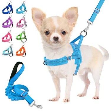 Lukovee No Pull Dog Harness and Leash Set Soft Padded Small Dog Harness Neck Chest Adjustable Reflective Vest Puppy Harness with 4ft Lightweight AntiTwist Dog Leash for Small Dogs LBL S