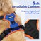 rabbitgoo Dog Harness No Pull with 2 Leash Clips Adjustable Soft Padded Reflective Oxford No Choke Pet Vest with Easy Control Handle for Small Dogs Blue Orange S
