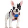 rabbitgoo Dog Harness No Pull with 2 Leash Clips Adjustable Soft Padded Reflective Oxford No Choke Pet Vest with Easy Control Handle for Small Dogs Blue Orange S