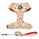 COOWONE Dog Harness and Leash Set Adjustable Dog Harness Dog Leash No Pull No Choke Puppy Harnesses for Walking Training for Small Medium Pet