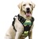 rabbitgoo Dog Harness No Pull with 2 Leash Clips Adjustable Soft Padded Reflective Oxford No Choke Pet Vest with Easy Control Handle for Large Dogs Green MountainL