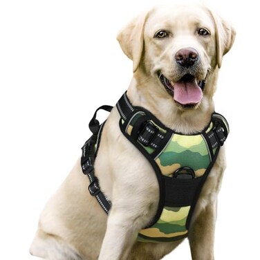 rabbitgoo Dog Harness No Pull with 2 Leash Clips Adjustable Soft Padded Reflective Oxford No Choke Pet Vest with Easy Control Handle for Large Dogs Green MountainL