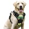 rabbitgoo Dog Harness No Pull with 2 Leash Clips Adjustable Soft Padded Reflective Oxford No Choke Pet Vest with Easy Control Handle for Large Dogs Green MountainL