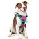 rabbitgoo Dog Harness No Pull with 2 Leash Clips Adjustable Soft Padded Reflective Oxford No Choke Pet Vest with Easy Control Handle for Large Dogs Hot Pink Turquoise L