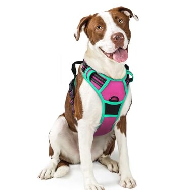 rabbitgoo Dog Harness No Pull with 2 Leash Clips Adjustable Soft Padded Reflective Oxford No Choke Pet Vest with Easy Control Handle for Large Dogs Hot Pink Turquoise L