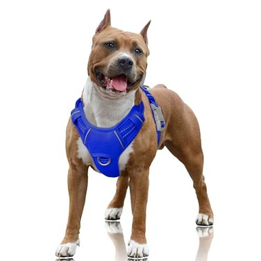 BARKBAY No Pull Dog Harness Large Reflective Dog Harness with Front Clip and Easy Control Handle for Walking Training Running with ID tag PocketSapphire BlueL