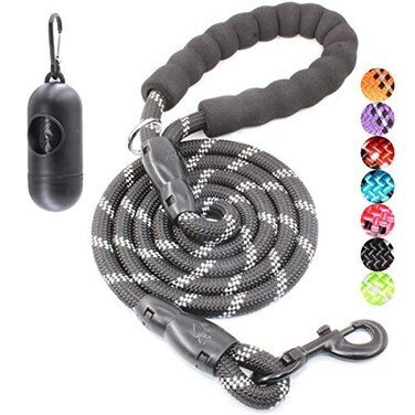 BAAPET 2456 FT Dog Leash with Comfortable Padded Handle and Highly Reflective Threads for Small Medium and Large Dogs 6FT12 Black