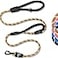 Roam Gear 6 Foot Dog Leash Two Extra Padded Handles Locking Carabiner Clip Reflective for Night Visibility Weatherproof Heavy Duty Rope Leash Brown