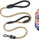Roam Gear 6 Foot Dog Leash Two Extra Padded Handles Locking Carabiner Clip Reflective for Night Visibility Weatherproof Heavy Duty Rope Leash Brown