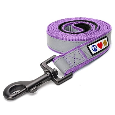 Pawtitas Orchid Dog Leash 6 ft Custom ID Lead for Dogs Puppies Reflective Comfortable Padded Handle Embroidered Name Phone Number