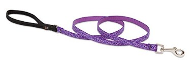 LupinePet Originals 12 Jelly Roll 4Foot Padded Handle Leash for Small Pets