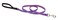 LupinePet Originals 12 Jelly Roll 4Foot Padded Handle Leash for Small Pets